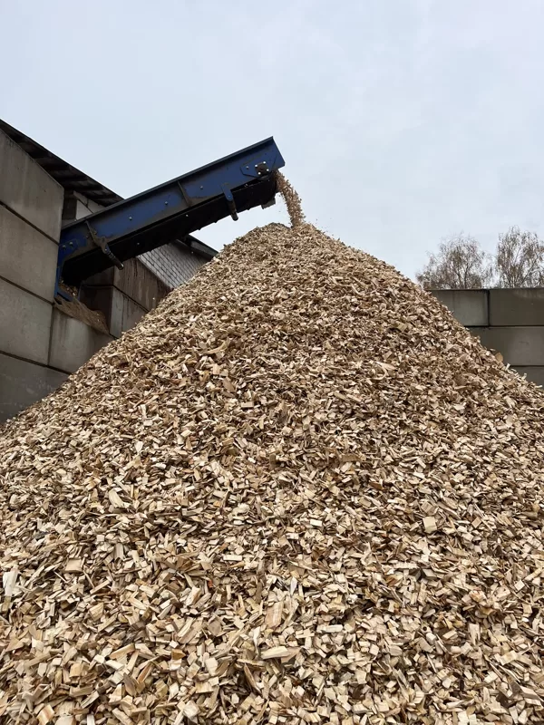 WOODCHIPS